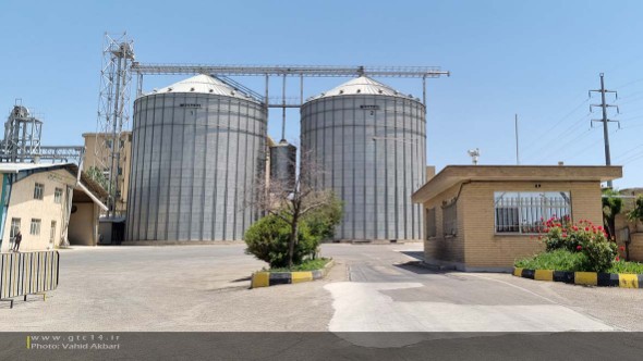 بیش از 800 میلیارد ریال هزینه برای ذخیره سازی و نگهداری گندم در سال 1403 پرداخت شد
