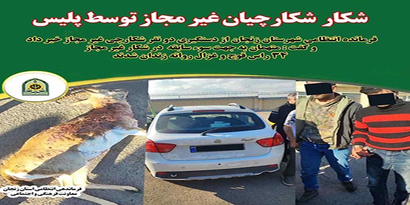 شکار شکارچيان غيرمجاز توسط پليس