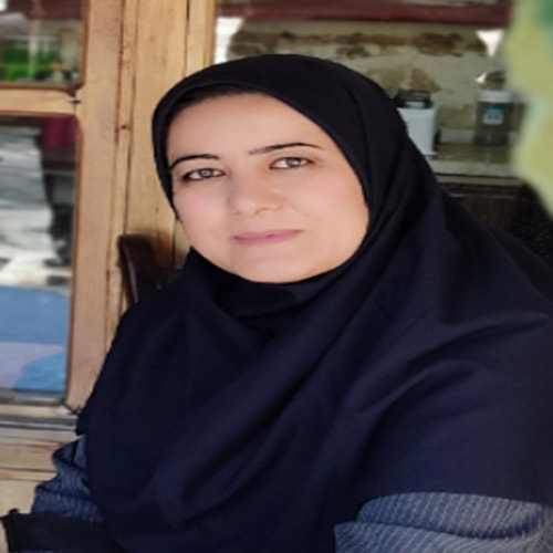  تا انتخابات همراه با خبرنگاران: نمایندگان منتخب باید توانایی پیگیری امورات را داشته باشند