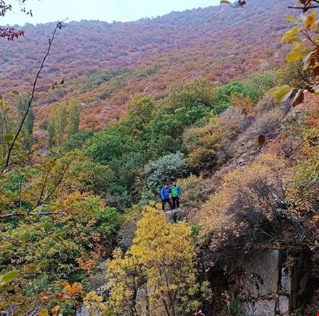پادشاه فصل ها در جنگل های روستای سرخ مشه شهرستان طارم