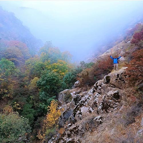  پادشاه فصل ها در جنگل های روستای سرخ مشهشهرستان طارم