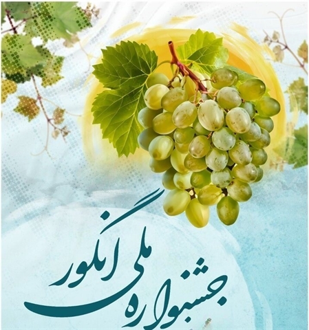 درسجین در مسیر جهانی شدن