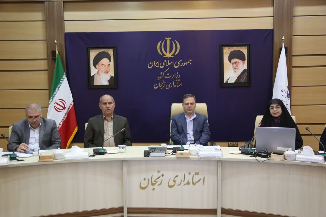 عملکرد خوب کمیته امداد در حوزه جوانی جمعیت؛ در حوزه ناباروری حمایت از زنان سرپرست خانوار