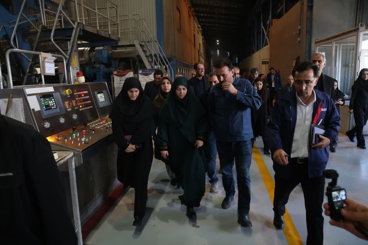 رئیس سازمان حفاظت محیط‌ زیست در نشست تخصصی صنعت سبز در مجتمع کاغذسازی راشا کاسپین زنجان