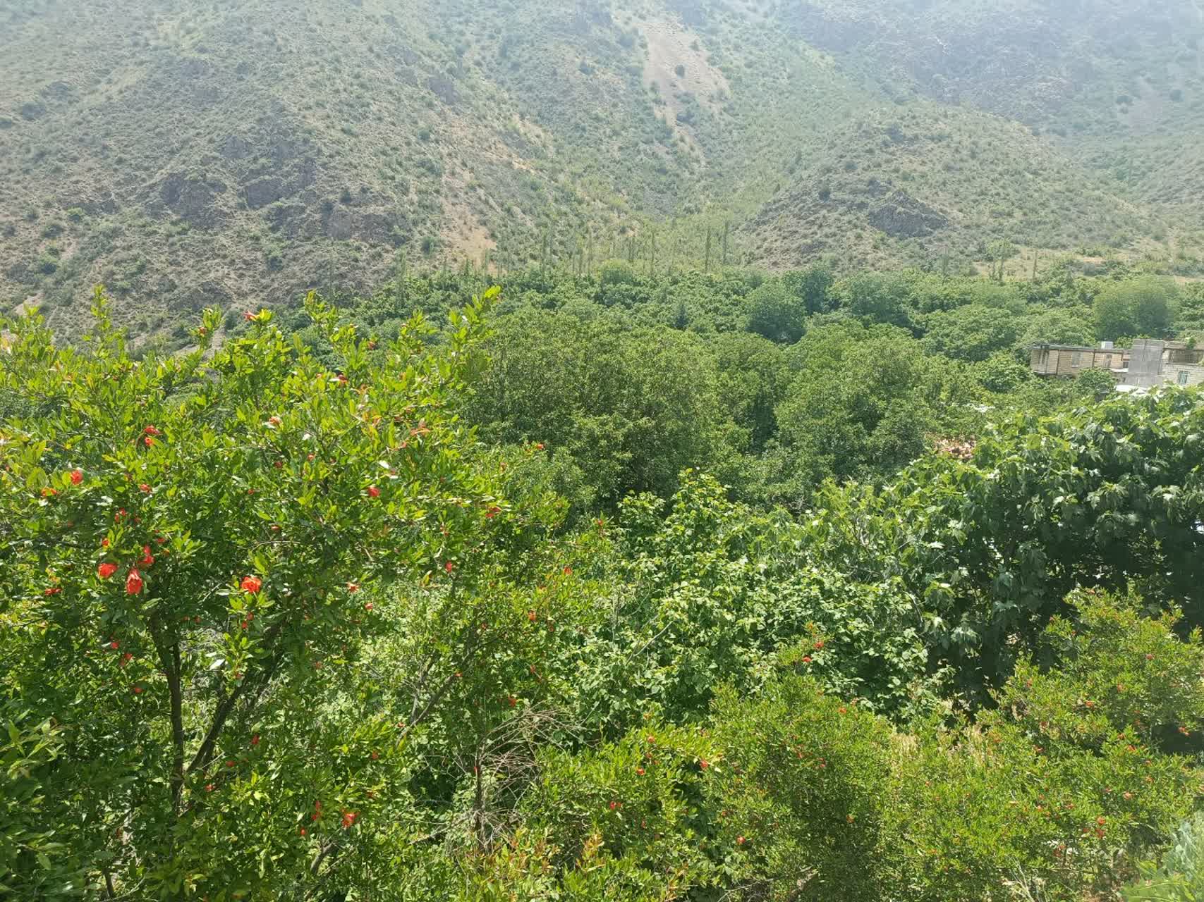 خرداد زیبای شیرمشه