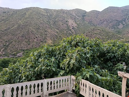 خرداد زیبای شیرمشه