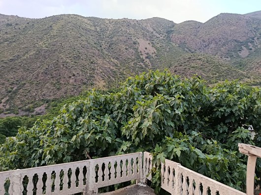 خرداد زیبای شیرمشه
