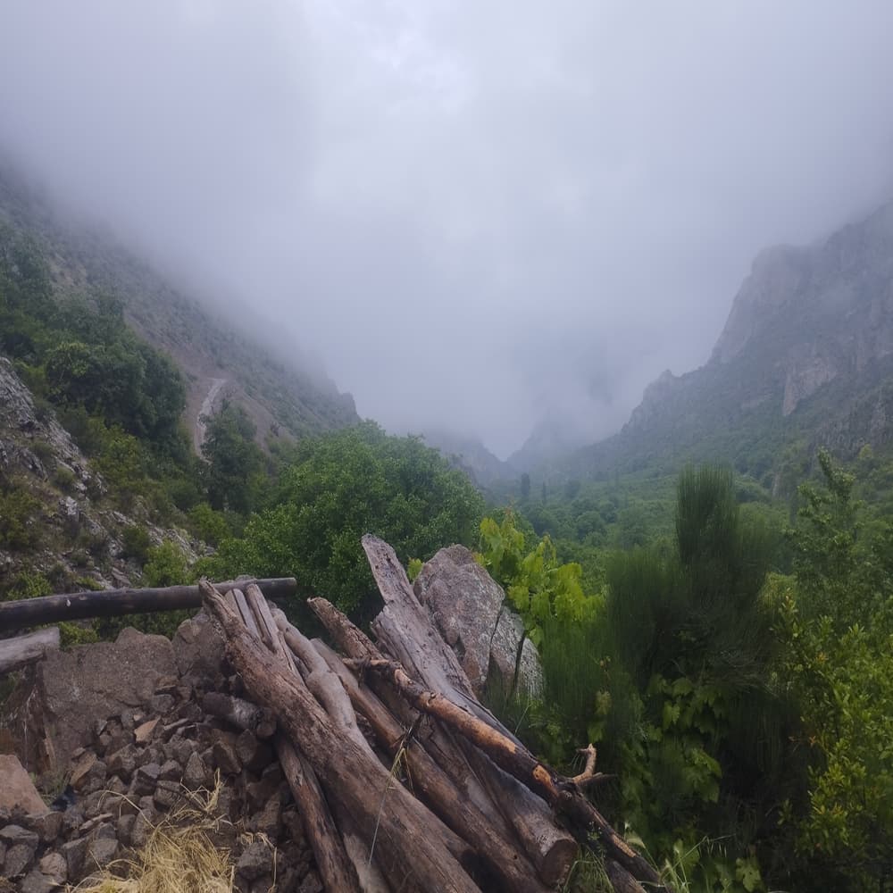 اردیبهشت بهشتی طارم